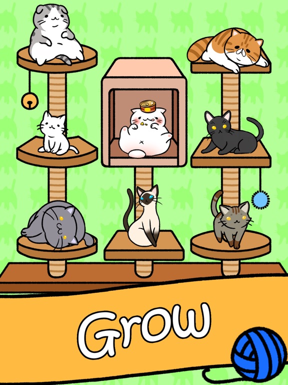 Cat Condo для iPad