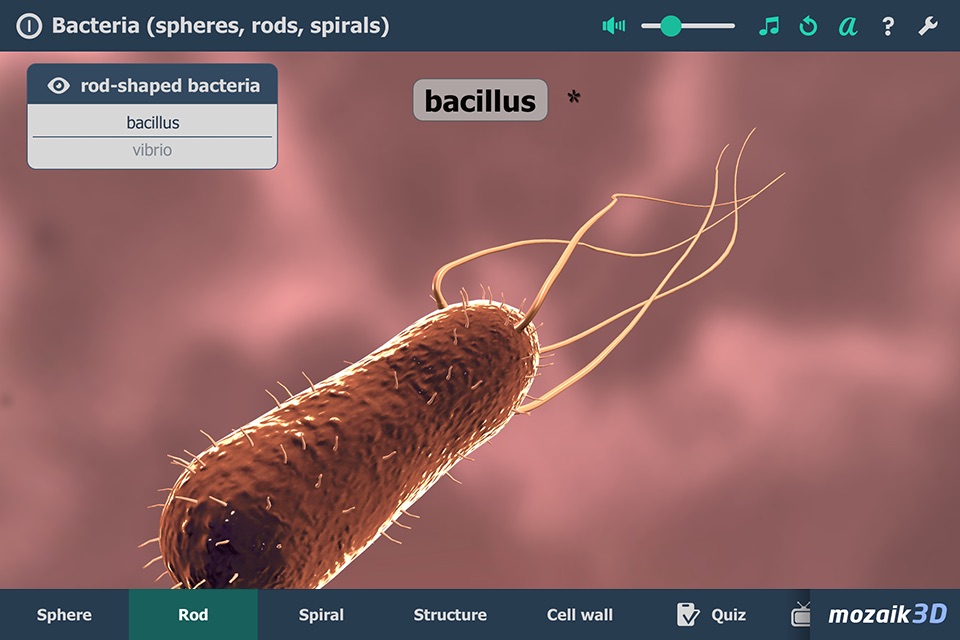 Bacteria 3D screenshot 2