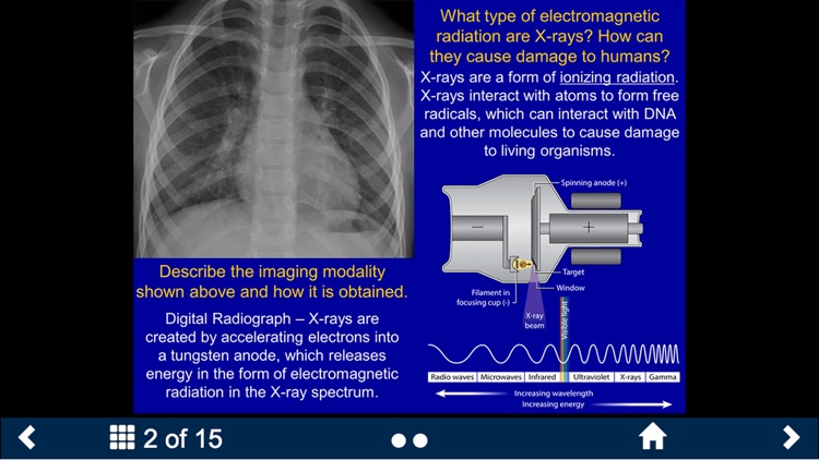 Basic Radiology - Secondlook