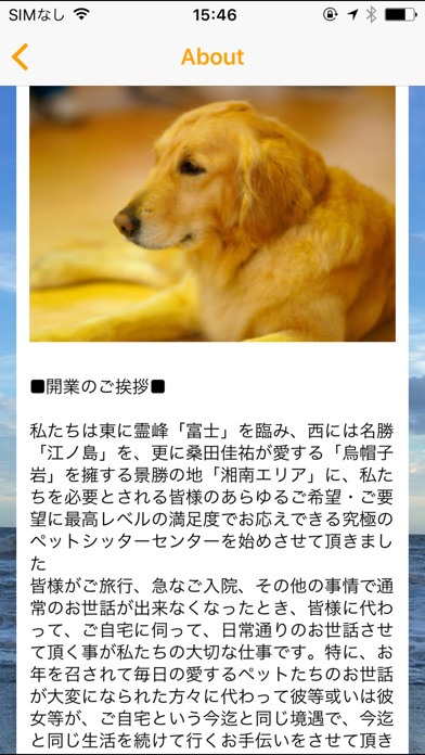 犬の散歩やペットシッターなら【湘南ペットシッターセンター】 screenshot 2