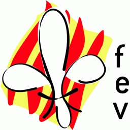 Scouts FEV