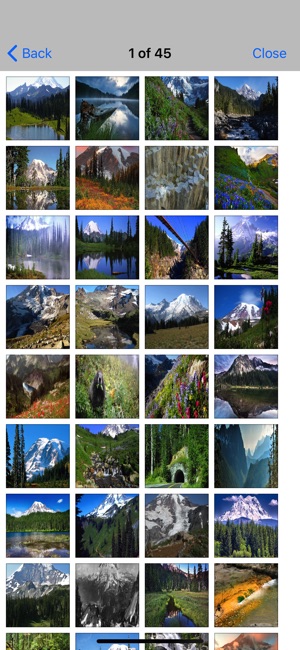 Mount Rainier - National Park(圖5)-速報App