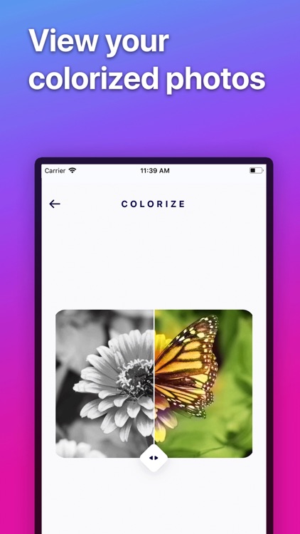 Colorize - Color B&W Photos screenshot-3