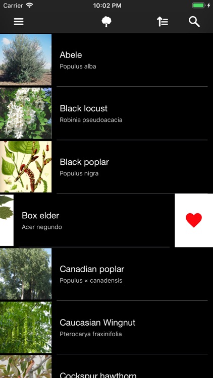 Trees 2.0 screenshot-3