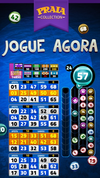 Video Bingo Tenerife screenshot 3