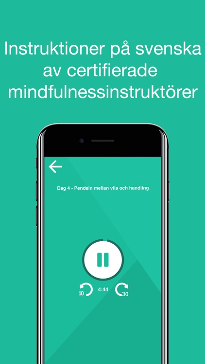 Mindfulnessresan