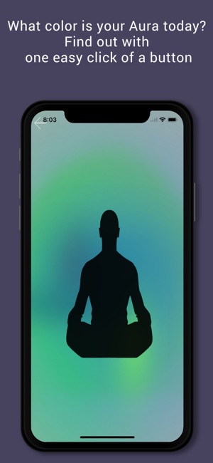 Quantum Chakra Scan(圖4)-速報App