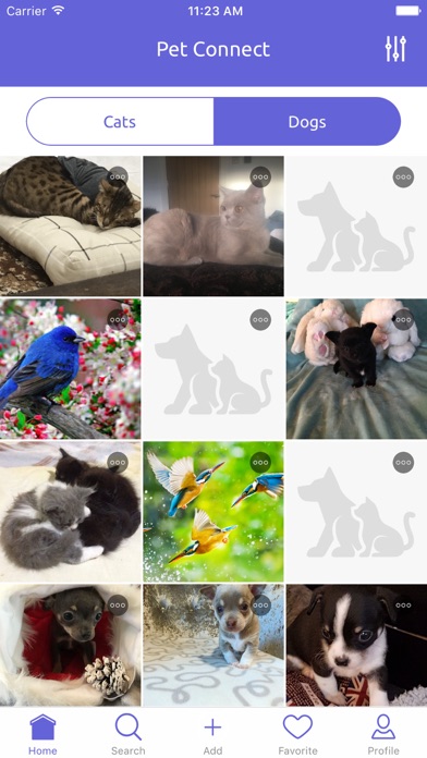 Pet Bazzar - Find Pets Online screenshot 2