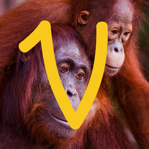 Virry Educational. Play, learn with real animals