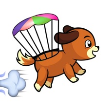 Activities of Air Puppy