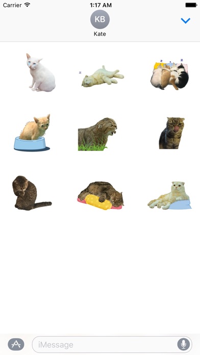 Animated Scottish Fold Cat screenshot 2