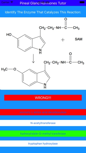 Pineal Gland Hormones Tutor(圖3)-速報App