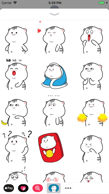 Funny Kitten Animated Stickers