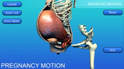 Pregnancy Motion Anatomy screenshot 2