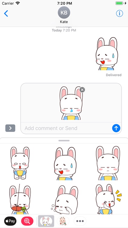 Little Bunny Stickers Pack
