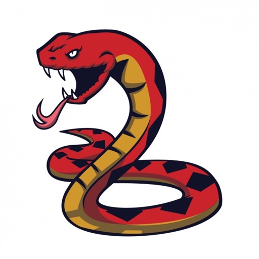 Classic Snake Game Pro icon