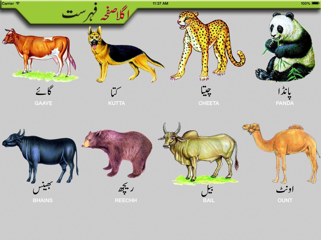 Toddler Urdu Qaidah Learning screenshot 3