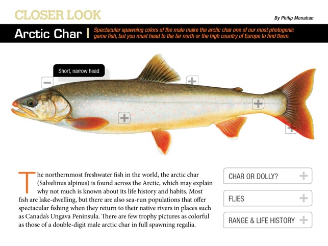 American Angler Magazine(圖4)-速報App