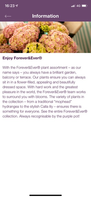 Forever&Ever(圖4)-速報App