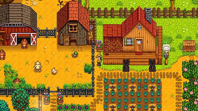 THE STARDEW VALLEY - CITY screenshot-3