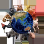 KlankLicht Dieren