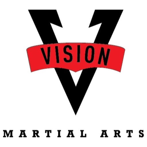 Vision Martial Arts - SC icon
