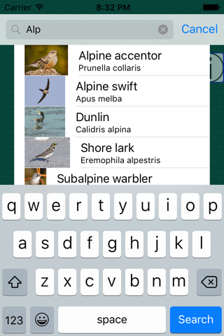 Britain UK Birds Dictionary - náhled