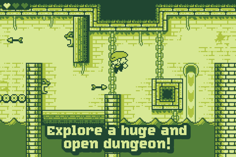 Tiny Dangerous Dungeons - náhled