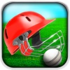 Slog Cricket - unlimited Power-play Hits