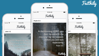 Faithily - Daily Bible Quotes screenshot 2