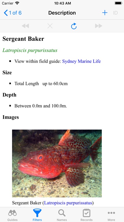 Sydney Marine Life screenshot-5