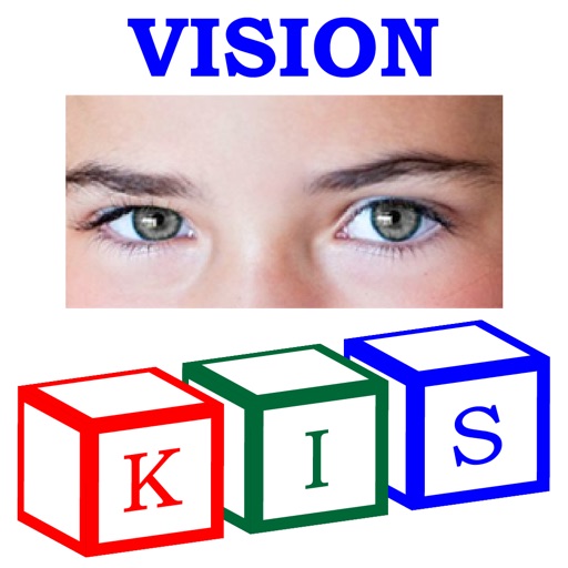 KIS Visual Perception