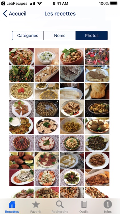 100 Recettes Libanaises screenshot-3