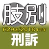 辰已の肢別本 H29版(2018年対策) 刑訴