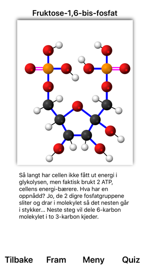 Glykolyse(圖2)-速報App