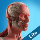 Anatomy Game Anatomicus Lite