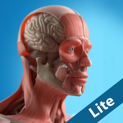 Anatomy Game Anatomicus Lite by Burak Esenc