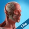 This application is a free version of the Anatomicus Anatomy Game that offers one level touch and one level scan options in Muscular System, Skeletal System, Respiratory System, Reproductive System, Cardiovascular System, Digestive System, Urinary System, and Nervous System