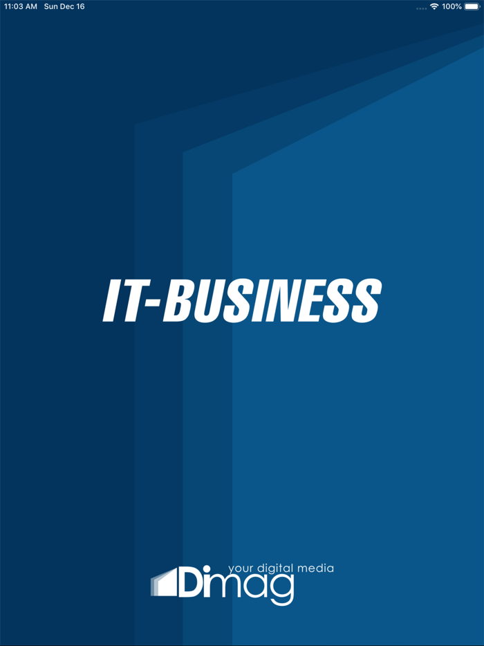 IT Business