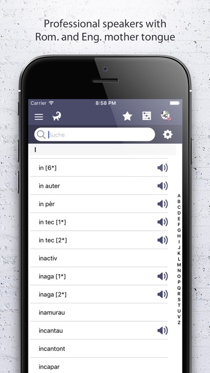 Dictionary Romansh English screenshot-3