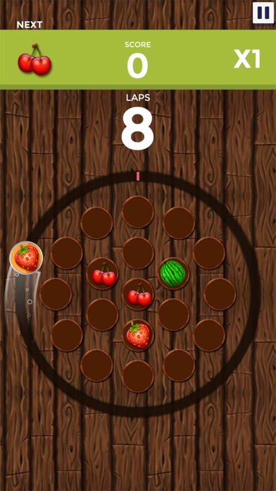 Circle Fruit Touch 2 screenshot 2
