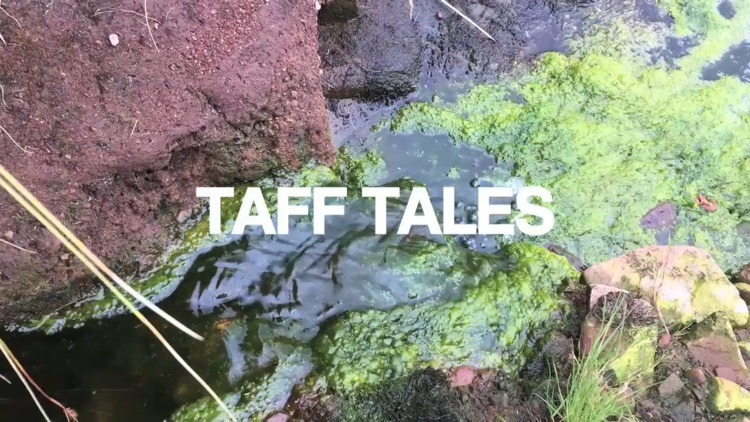 Taff Tales