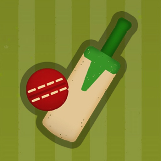 Village Cricket icon