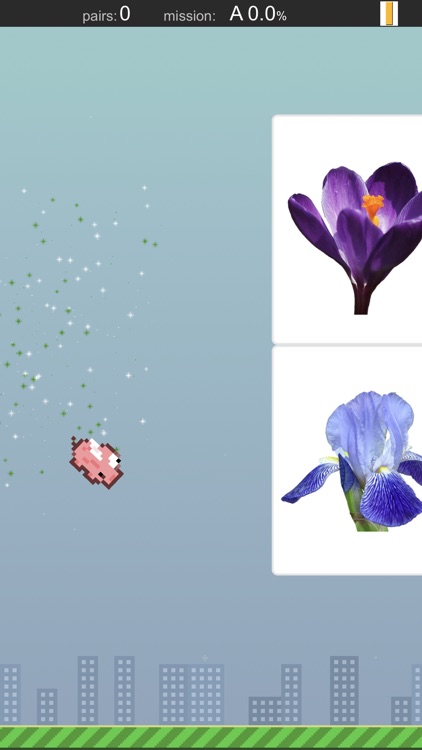 Flashcards by NKO screenshot-3