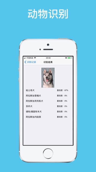 拍照识图-图片识别的专业APPのおすすめ画像4