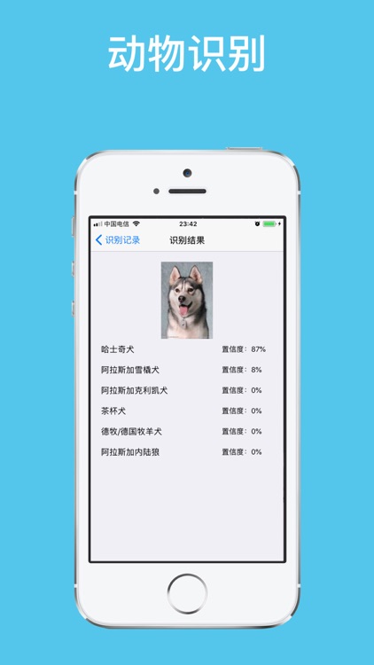 拍照识图-图片转文字的专业APP screenshot-3