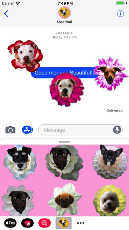 Puppy Bouquet