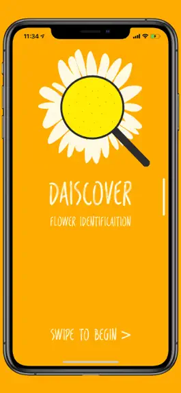 Game screenshot Daiscover mod apk