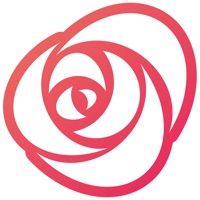 Rosa App sur PC