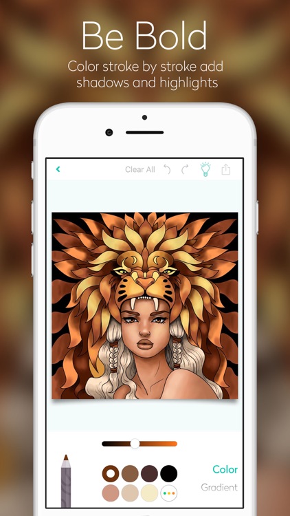 Chroma - Adult Coloring Book
